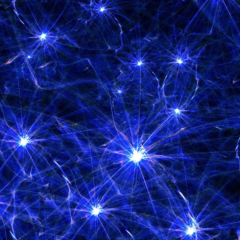 neurons image