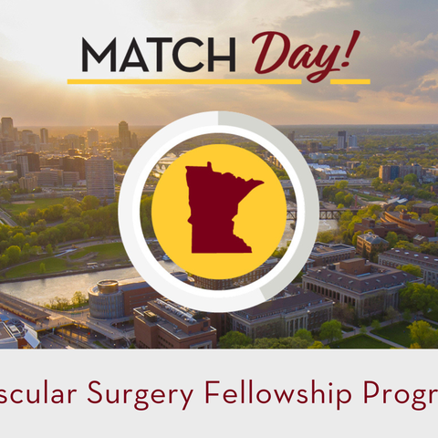 Vascular Surgery Fellowship Program - 2024 Match