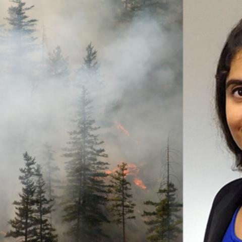 Alt text: On the left, fire in a pine forest. On the right, headshot of Dr. Laalitha Surapaneni. Credit: Getty Images and University of Minnesota.