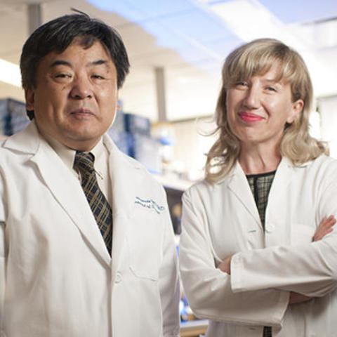 Masato Yamamoto, M.D., Ph.D. and Julia Davydova, M.D., Ph.D.