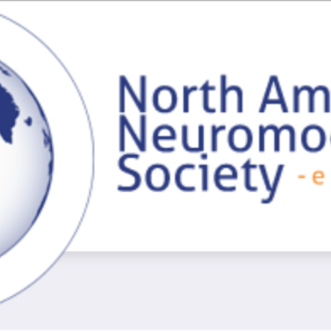 North American Neuromodulation Society Logo