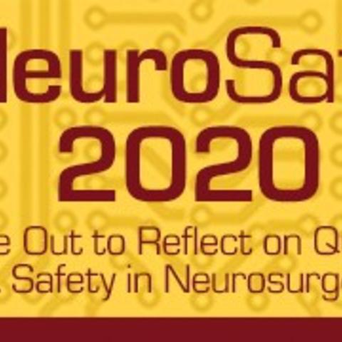 NeuroSafe 2020 Graphic