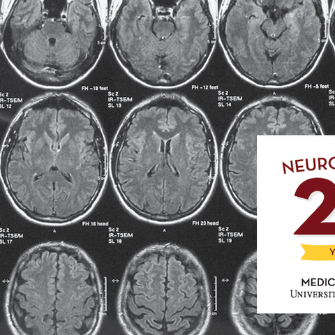 A collage of brain scans and the 20th anniversary graphic.