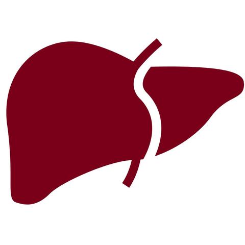 Liver transplant program outcomes