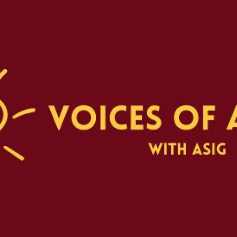 Voices of Aging 