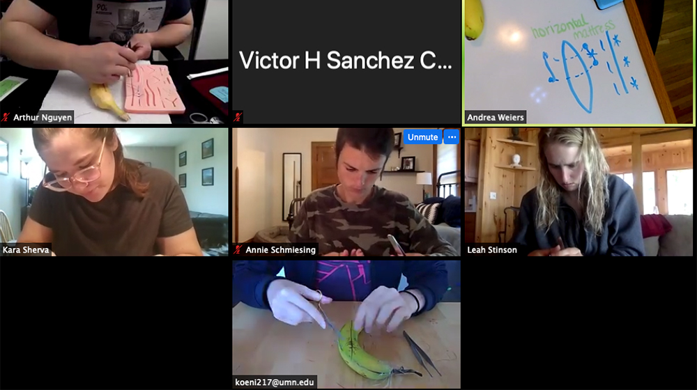 A group of people on Zoom working on suturing a piece of fruit
